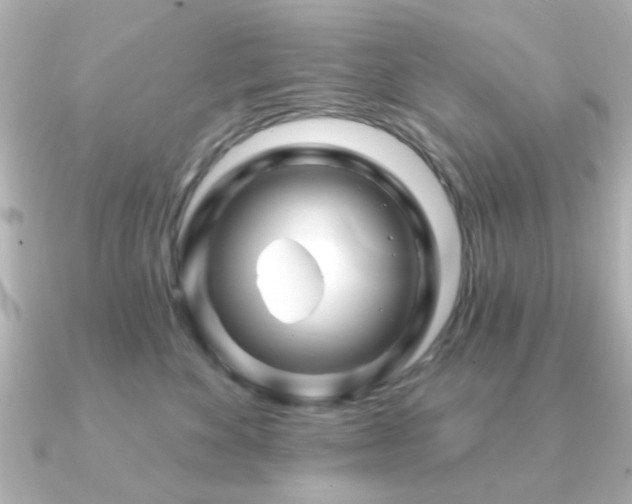 X0000091190524200708091251
