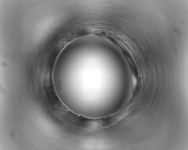X0000091190525200708091251