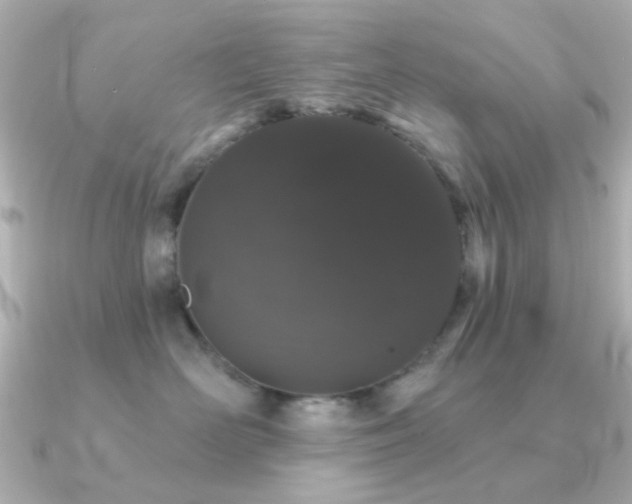 X0000091190526200708091251
