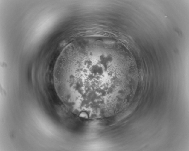 X0000091190527200708091251