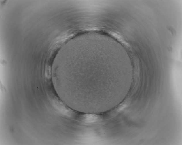 X0000091190528200708091251