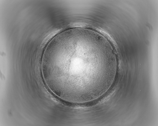 X0000091190529200708091251