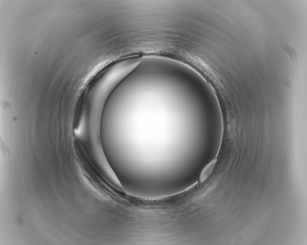 X0000091190530200708091251