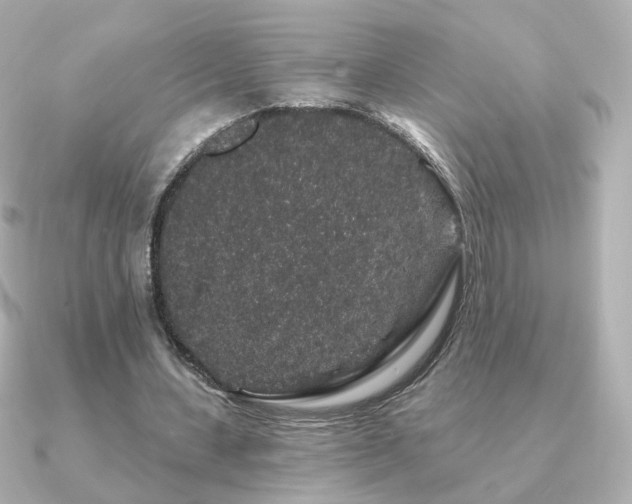 X0000091190531200708091251