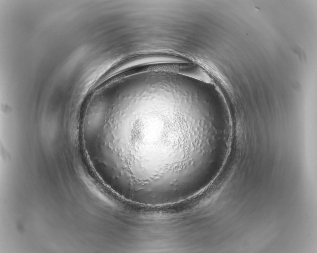 X0000091190533200708091251