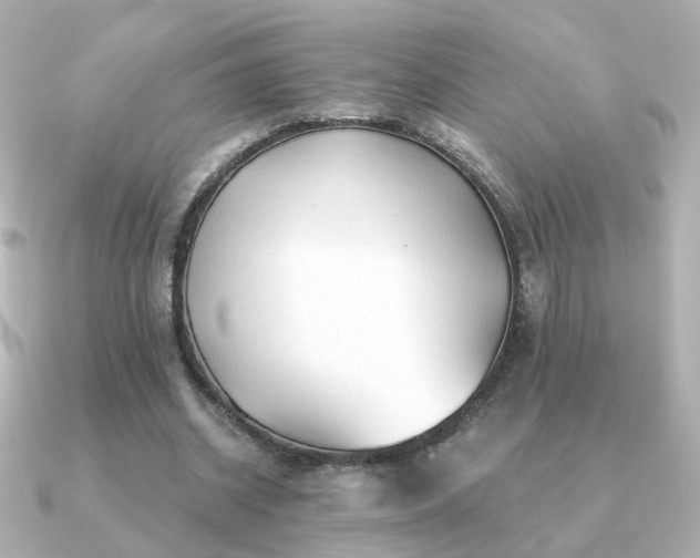X0000091190534200708091251