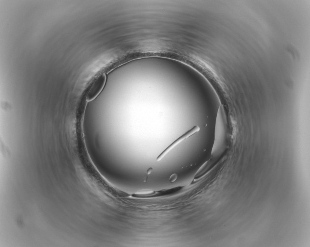 X0000091190535200708091251