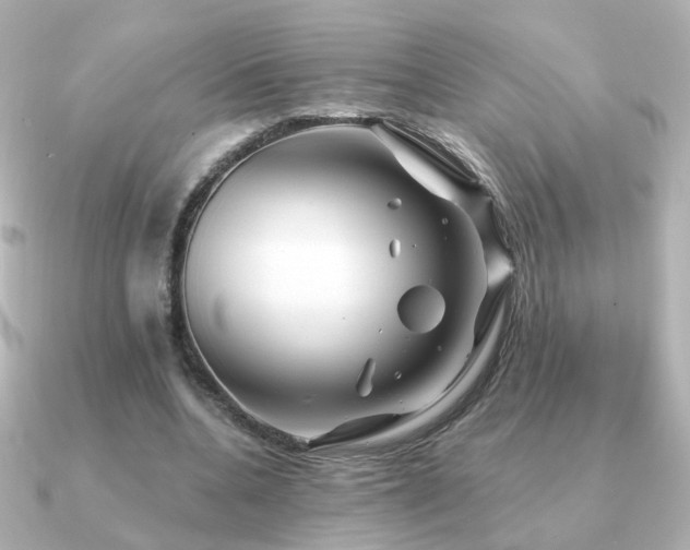 X0000091190536200708091251