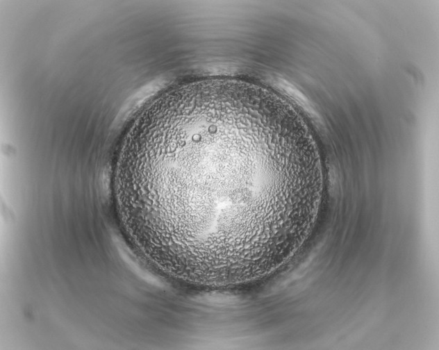 X0000091190537200708091251