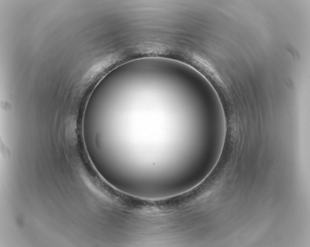 X0000091190538200708091251