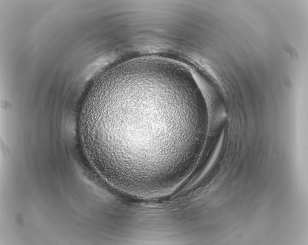 X0000091190539200708091251