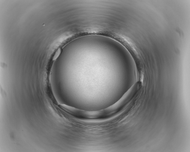 X0000091190540200708091251