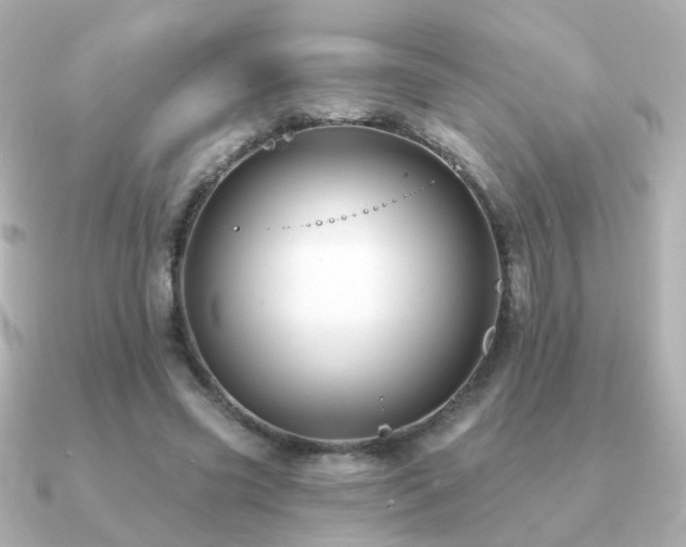 X0000091190541200708091251
