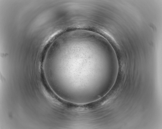 X0000091190542200708091251
