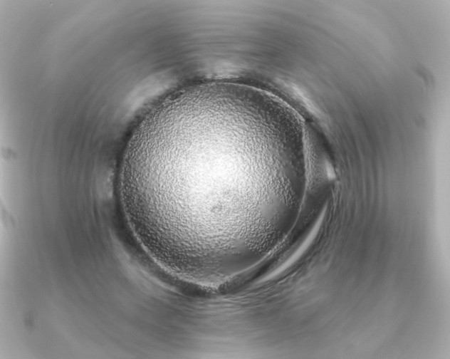 X0000091190543200708091251