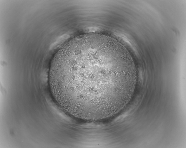 X0000091190545200708091251