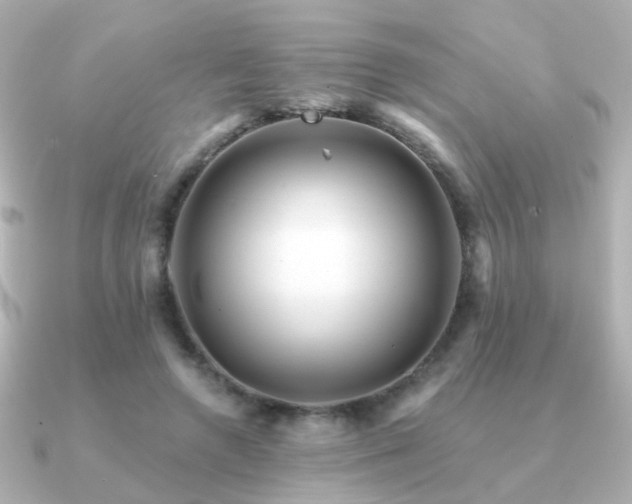 X0000091190546200708091251