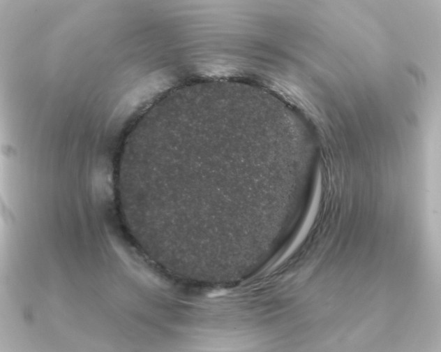 X0000091190547200708091251