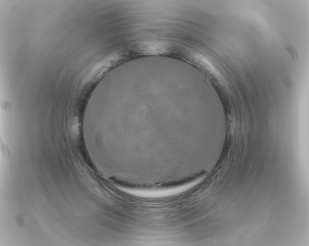 X0000091190549200708091251