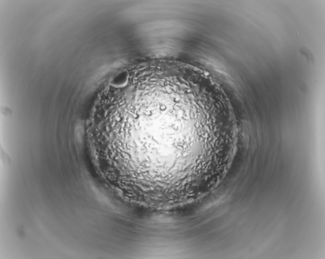 X0000091190550200708091251