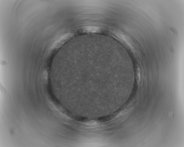 X0000091190551200708091251