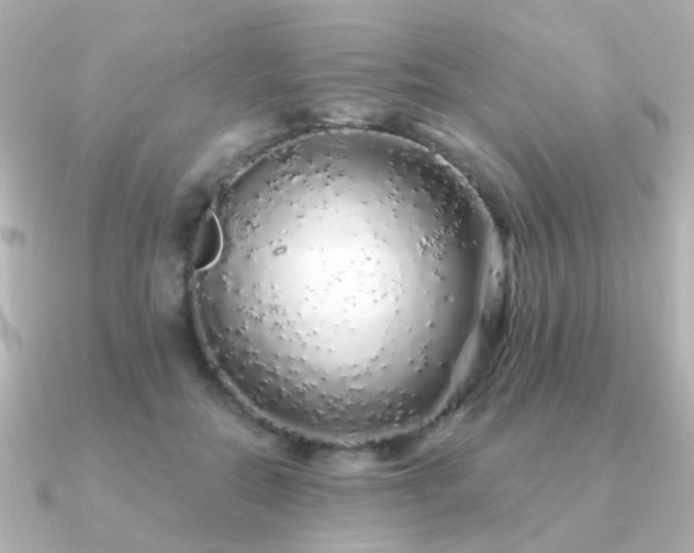 X0000091190554200708091251