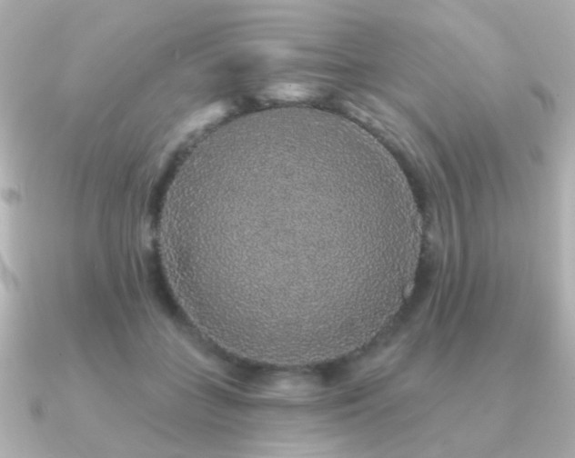X0000091190555200708091251