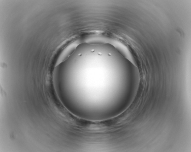X0000091190556200708091251
