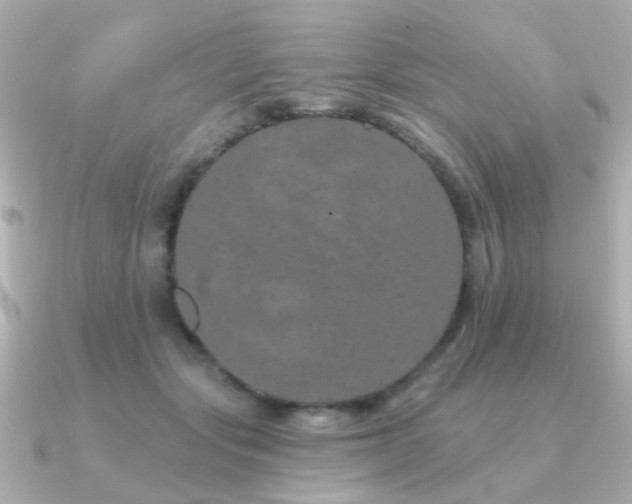 X0000091190557200708091251