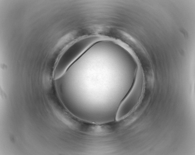 X0000091190558200708091251