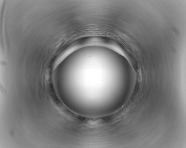 X0000091190560200708091251