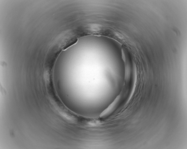 X0000091190562200708091251