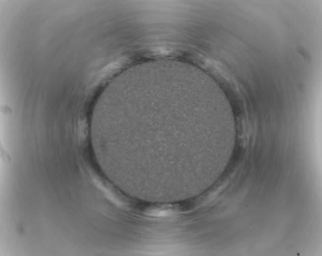 X0000091190563200708091251