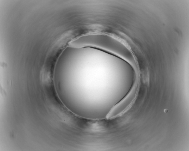 X0000091190564200708091251