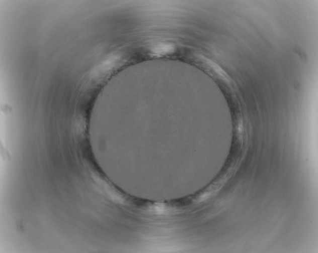 X0000091190565200708091251