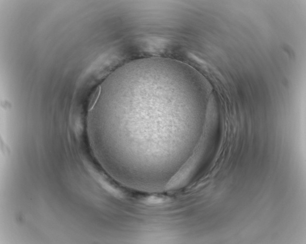 X0000091190566200708091251
