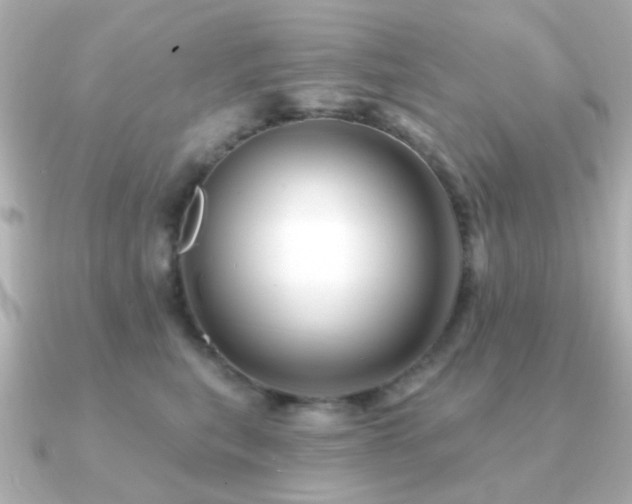 X0000091190567200708091251