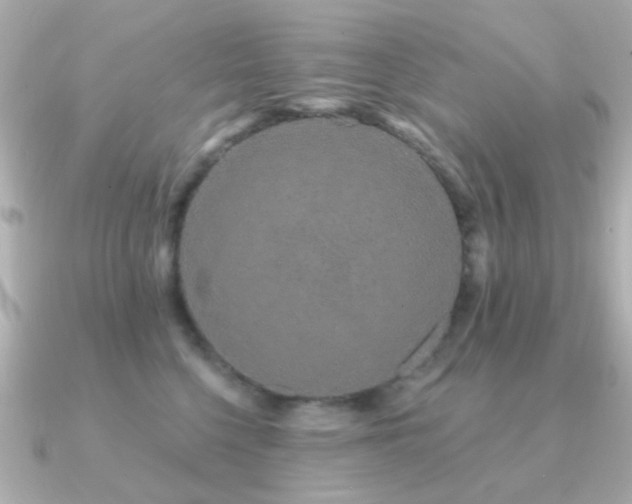 X0000091190568200708091251