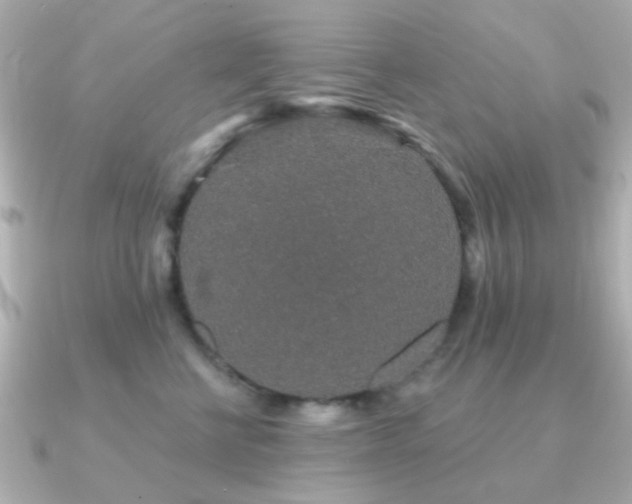 X0000091190570200708091251