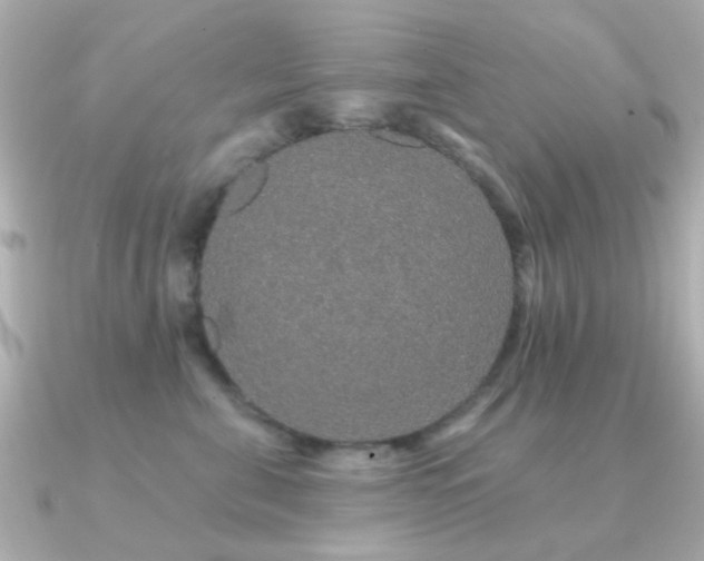 X0000091190571200708091251