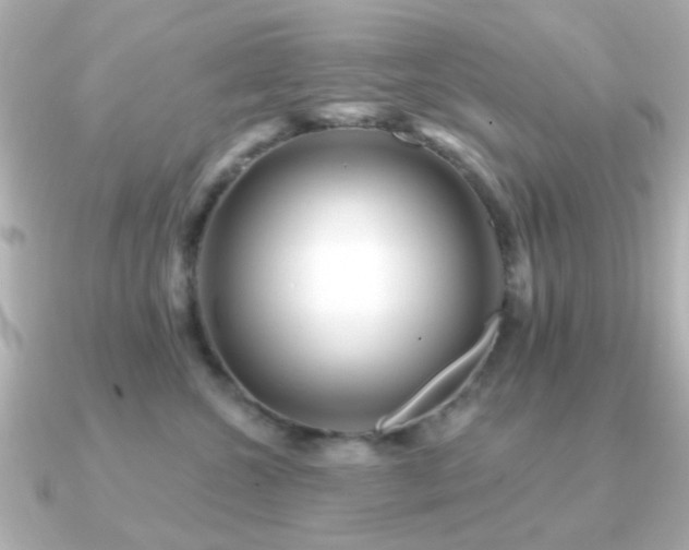 X0000091190572200708091251