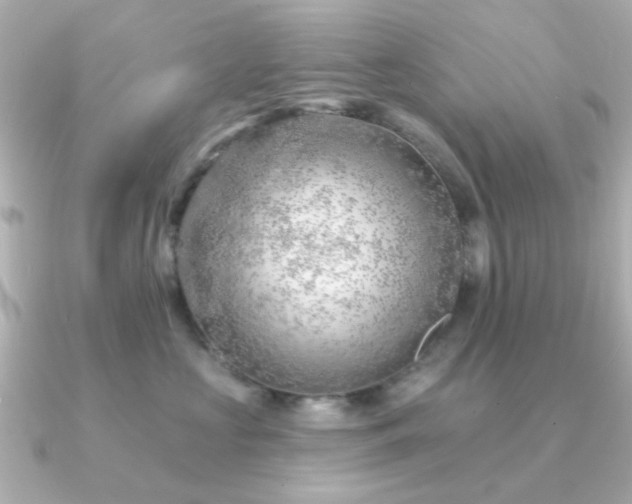 X0000091190573200708091251