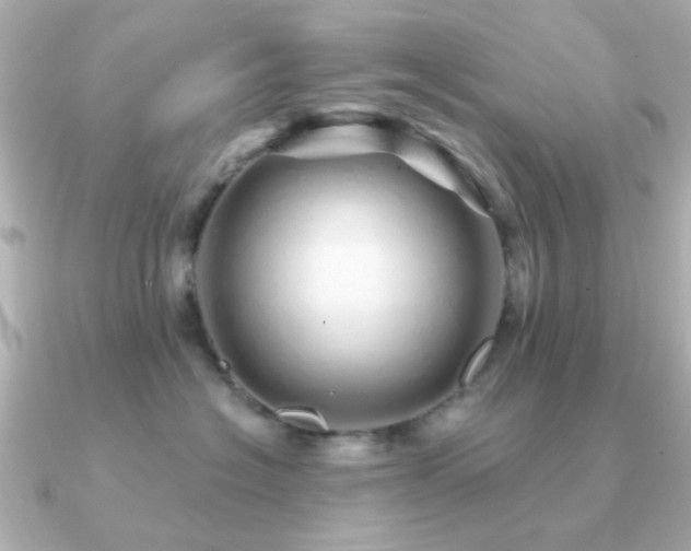 X0000091190574200708091251
