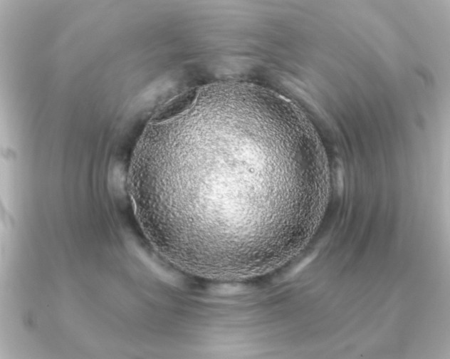 X0000091190575200708091251