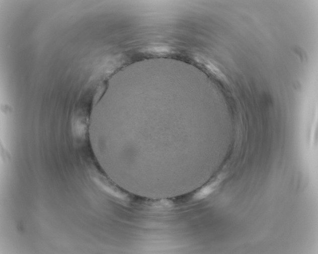 X0000091190576200708091251