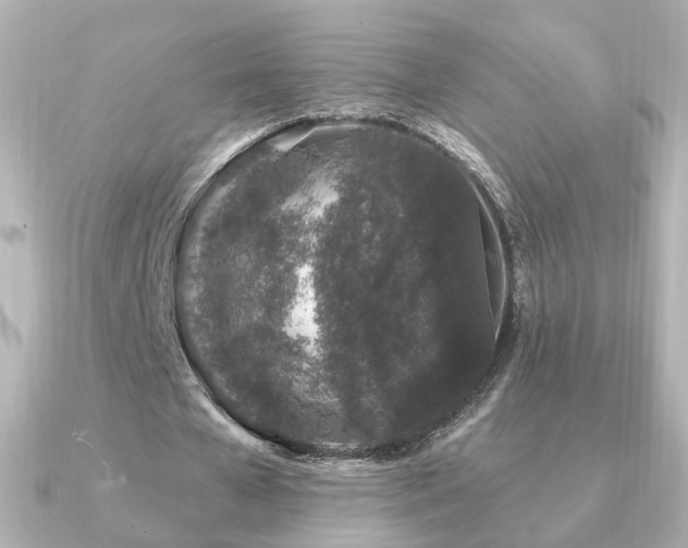 X0000091190577200708091251