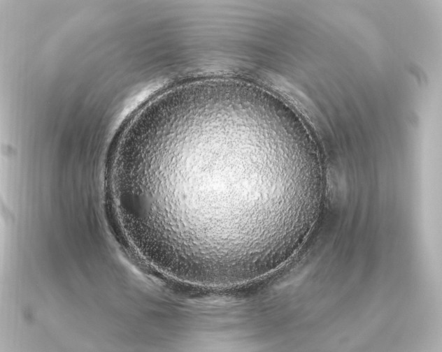 X0000091190578200708091251