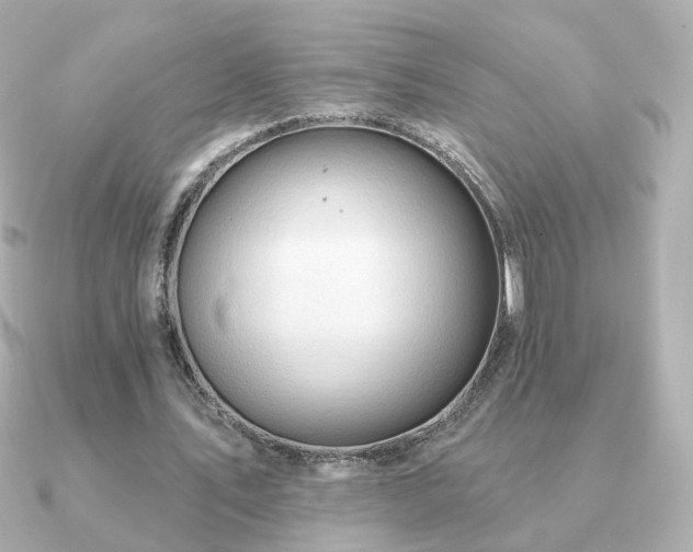 X0000091190579200708091251