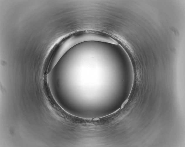 X0000091190580200708091251