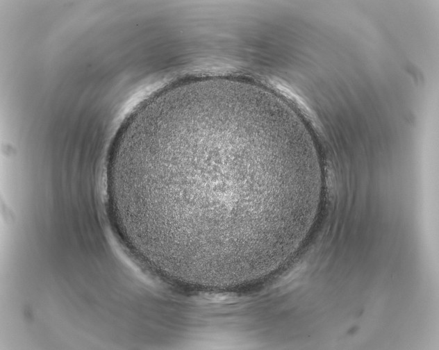 X0000091190582200708091251
